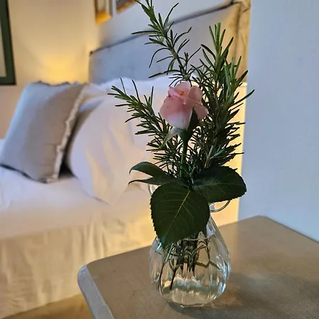 The Blooming House 别墅 Makriotika