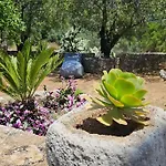 The Blooming House