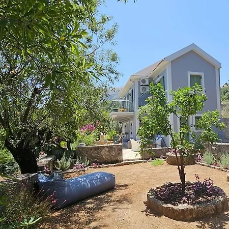 The Blooming House Villa