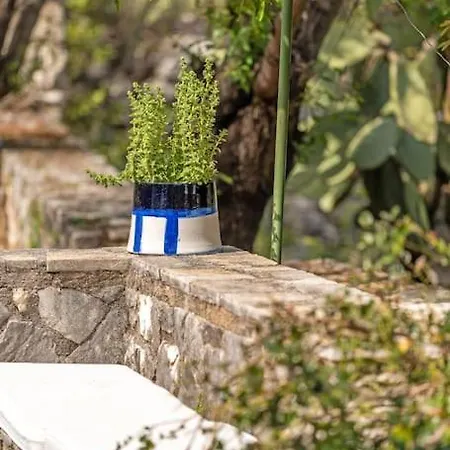 The Blooming House Villa *