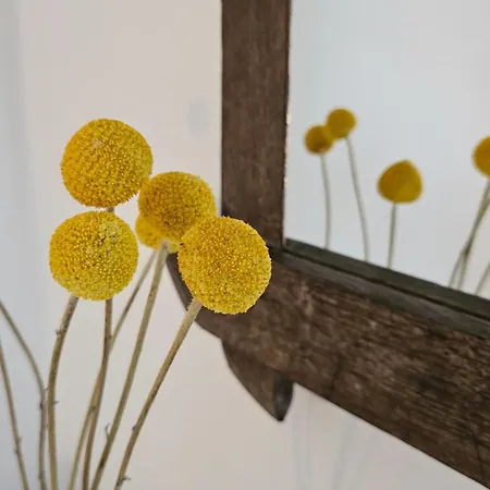 The Blooming House Makriotika